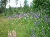 2003_0703_134900AA.jpg